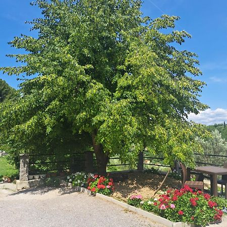Apartma Solina Portorose Esterno foto