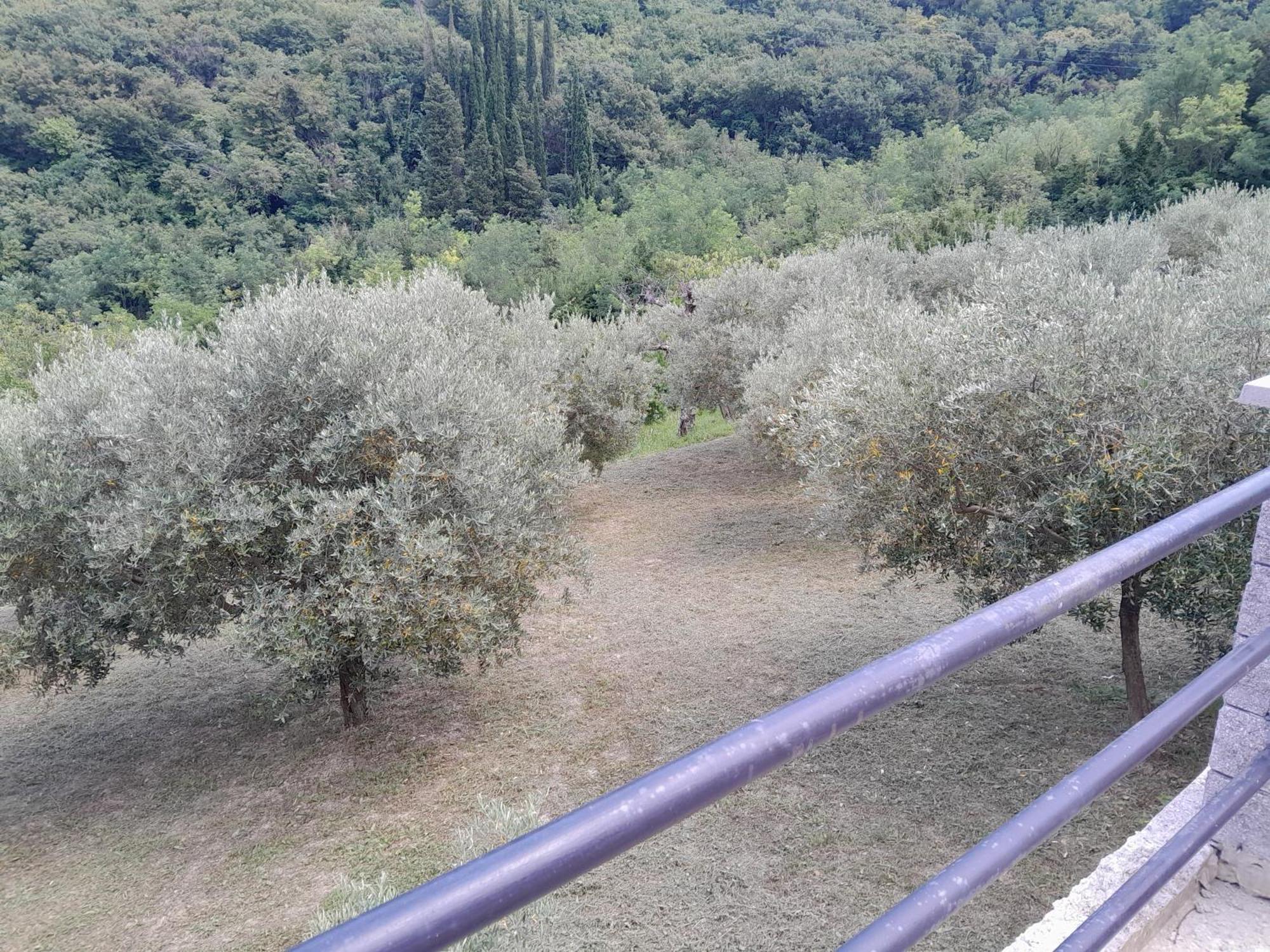 Apartma Solina Portorose Esterno foto