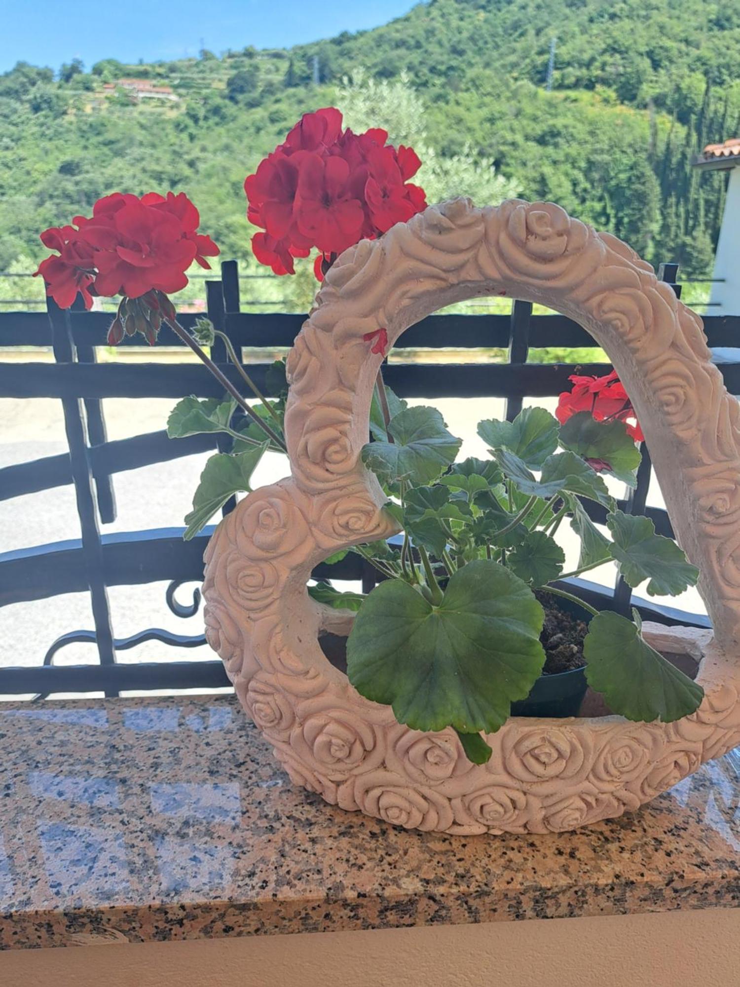 Apartma Solina Portorose Esterno foto